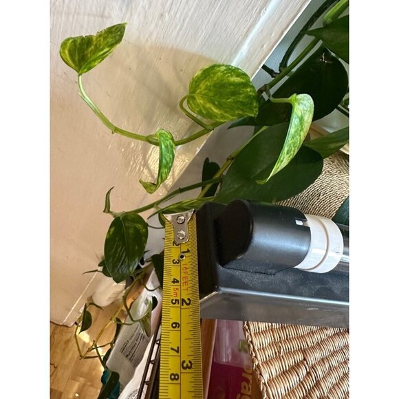 18” length Black Light - Picture 4 of 9